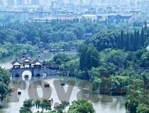 九游体育官方网站-重塑体育赛事体验_ 九游体育官方网站的重要性